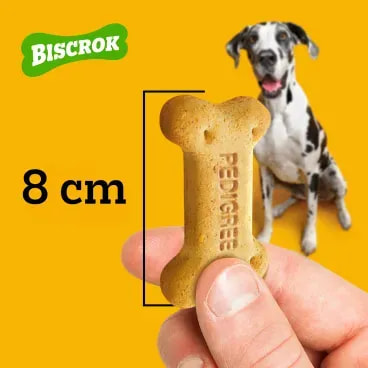Biscoito-Pedigree-Biscrok-para-Caes-Adultos-Racas-Grandes-Leite-500g-foto-de-mao-segurando-o-biscoito-com-demonstracao-de-tamanho