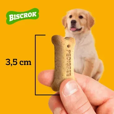 Biscoito-Pedigree-Biscrok-para-Caes-Filhotes-Leite-300g-foto-de-mao-segurando-o-biscoito-com-demonstracao-de-tamanho