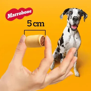 Biscoito-Pedigree-Marrobone-para-Caes-Adultos-Carne-500g-foto-de-mao-com-biscoito-e-demonstracao-de-tamanho