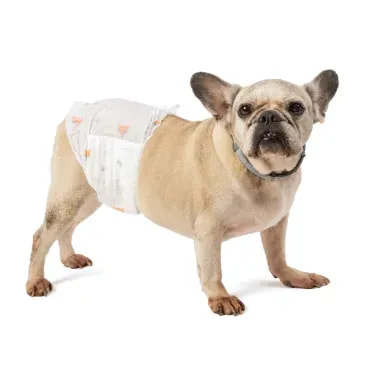 11-Fralda-Higienica-Ecofralda-Macho-Dogs-Care-12-unidades