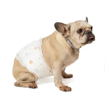 10-Fralda-Higienica-Ecofralda-Macho-Dogs-Care-12-unidades