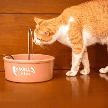 Fonte-de-Ceramica-Aqua-Clay-Basic-Amicus-25L-bivolt-foto-de-gato-bebendo-agua-na-fonte-