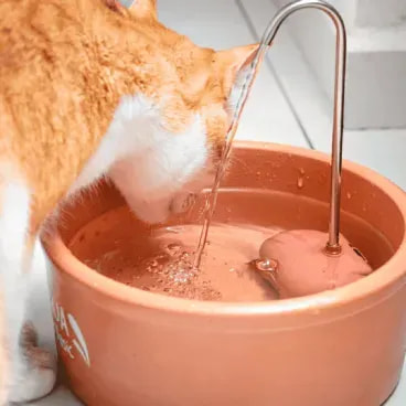 Fonte-de-Ceramica-Aqua-Clay-Basic-Amicus-25L-bivolt-foto-de-detalhe-de-gato-bebendo-a-agua-da-fonte