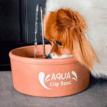 Fonte-de-Ceramica-Aqua-Clay-Basic-Amicus-25L-bivolt-foto-de-cachorro-bebendo-agua-na-fonte-