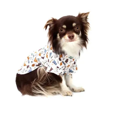 10-camisa-dinossauro-bege-bichinho-chic