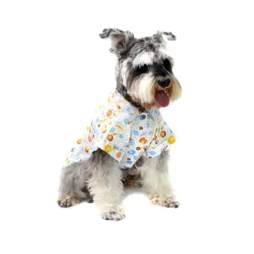 6-camisa-planetas-branca-bichinho-chic