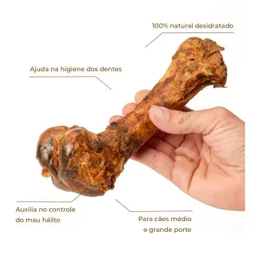 2-Joy Osso Femur Suino Desidratado