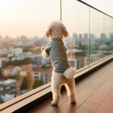 7908260350640-8----PP-copiar