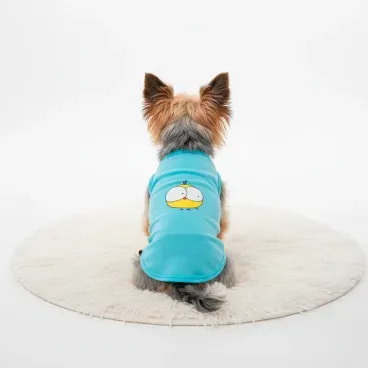 Regata-Pintinho-Azul-Fabrica-Pet-tamanho-PP-foto-da-regata-no-pet