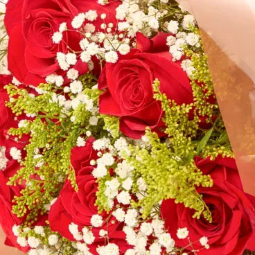 2-Buque Leiden Natural Timlog