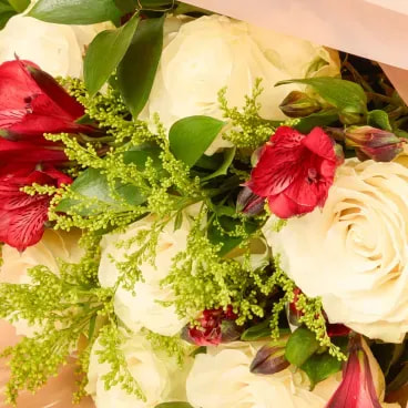 2-Buque-Haia-Natural-Timlog