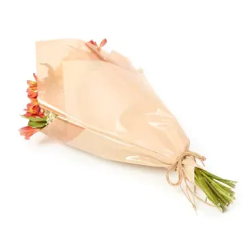 4-Buque-Haia-Natural-Timlog