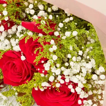 2-Buque-Rotterdam-Natural-Timlog