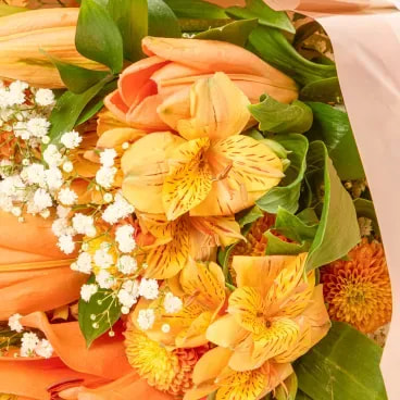 2-Buque Utrecht Natural Timlog