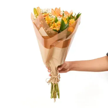 3-Buque Utrecht Natural Timlog