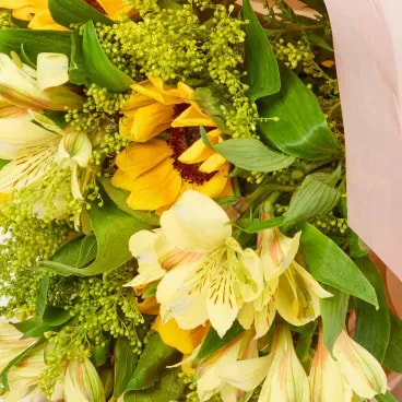 2-Buque-Zundert-Natural-Timlog