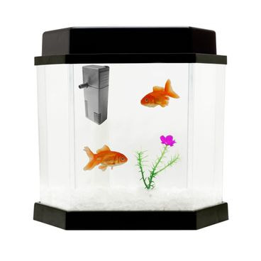 Beteira de Plástico Acqua Kit 2.0 127v 5,5L