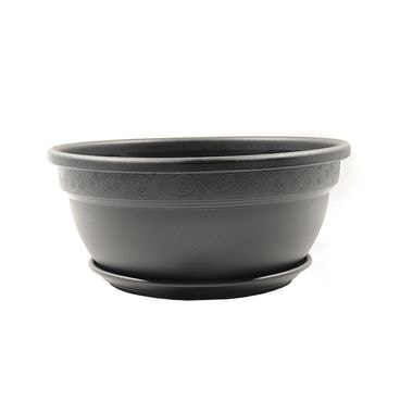 cuia vicenza prato desli preto