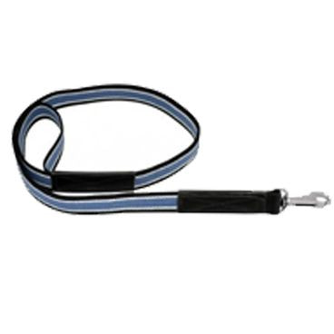 Guia de Treinamento São Pet Azul