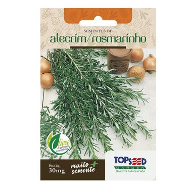 Semente Alecrim Rosamarinho Topseed Garden