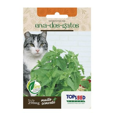 Semente Erva dos Gatos Topseed Garden