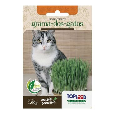 Semente Grama dos Gatos Topseed Garden