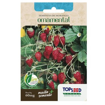 Semente Morango Ornamental Topseed Garden