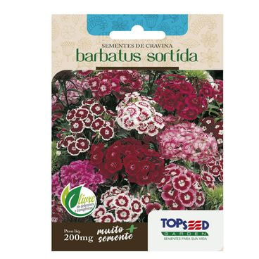 Semente Cravina Barbatus Sortido Topseed Garden