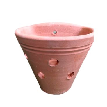 Vaso Parede Orquídea Vasos Tupã