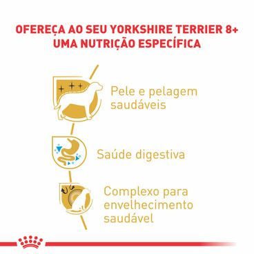 Racao-Royal-Canin-para-Caes-Adultos-da-Raca-Yorkshire