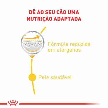 Ração Úmida Royal Canin Sache Dermacomfort Cães Adultos Benefícios