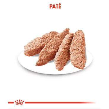 Ração Úmida Royal Canin Sache Dermacomfort Cães Adultos textura do Patê