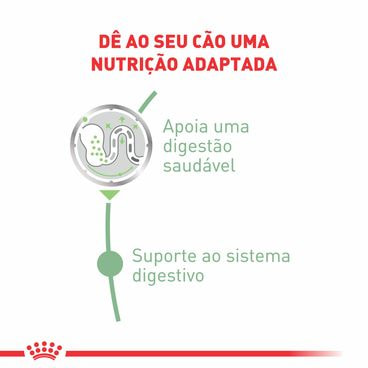 Ração Úmida Royal Canin Sachê Cuidado Digestivo Cães Adultos Benefícios