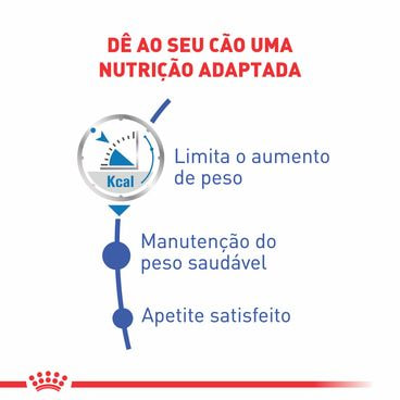 Ração Úmida Royal Canin Sache Light Weight Care Cães Adultos Nutrição Adaptada