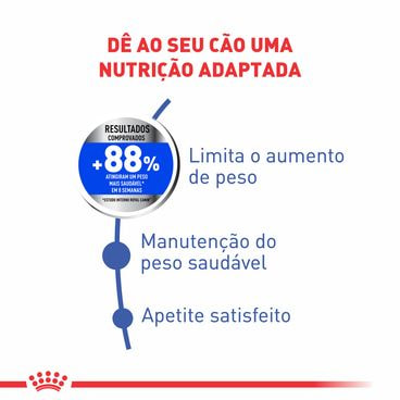 ração royal canin mini light cães adultos benefícios