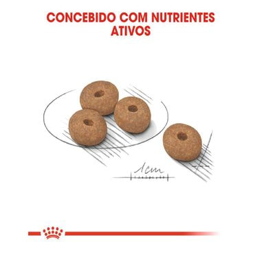 ração royal canin mini light cães adultos grãos