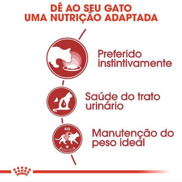 ração úmida royal canin instinctive gatos adultos benefícios