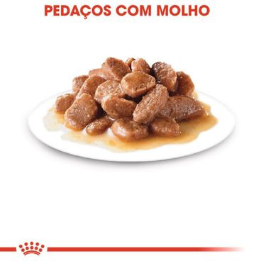 ração úmida royal canin instinctive gatos adultos pedaços ao molho