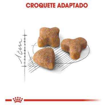 Racao-Royal-Canin-Sensible-Gatos-Adultos-croquete-ilustracao