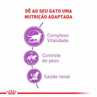 ração royal canin castrados 7+ gatos adultos benefícios