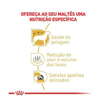 Ração Royal Canin Maltês Cães Adultos Nutrição Específica