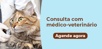 Banner de Páscoa