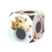 Cat Box Filhote Furacão Pet