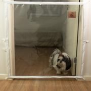 Dog Door Mabuu Tela de Proteção para Portas Branco