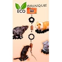 Eco Brinque
