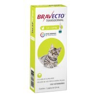 Antipulgas Bravecto Transdermal Gatos 1,2 a 2,8 kg