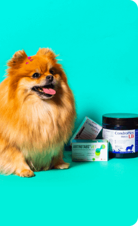 Background de vitaminas para cachorros