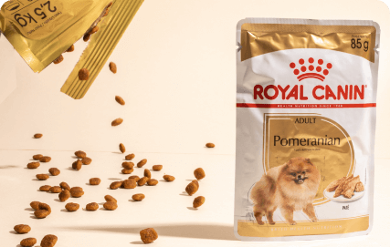Produto destinado a cachorros - ração da marca Royal Canin